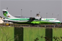 Nacho Rodriguez - Canary Islands Spotting. Click to see full size photo