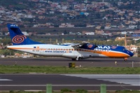 Javier de la Cruz - CANARY ISLANDS SPOTTING. Haz click para ampliar