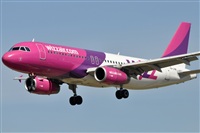 Rubn Gil - Noisy Spotters. Click to see full size photo