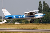 Javier de la Cruz - CANARY ISLANDS SPOTTING. Click to see full size photo