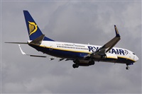 Alfonso Sols - Asociacin Canary Islands Spotting. Click to see full size photo