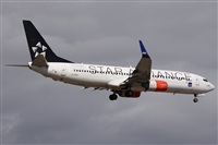 ©Alfonso Solís - Asociación Canary Islands Spotting. Click to see full size photo ©Alfonso Solís - Asociación Canary Islands Spotting. Click to see full size photo