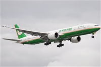 Rubn Gil - Noisy Spotters. Click to see full size photo