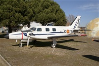 H.volar. Click to see full size photo