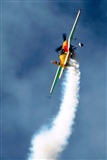 Tams. Click to see full size photo