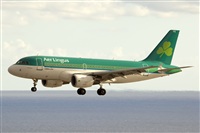 Javier de la Cruz - CANARY ISLANDS SPOTTING. Click to see full size photo