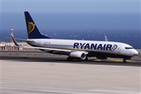 Alfonso Sols - Asociacin Canary Islands Spotting. Haz click para ampliar