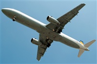 Miguel Martin Cordeiro - Iberian Spotters. Haz click para ampliar