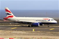Miguel A. gueda Rguez.  (CANARY ISLANDS SPOTTING). Click to see full size photo