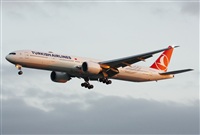 Fabio Duarte - Manaus Spotting Team. Click to see full size photo