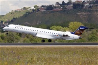 Nacho Rodriguez - Canary Islands Spotting. Click to see full size photo