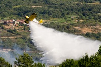 Esteban Lamas. Click to see full size photo