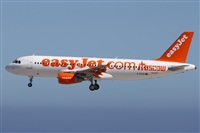 ©Alfonso Solís - Asociación Canary Islands Spotting. Click to see full size photo ©Alfonso Solís - Asociación Canary Islands Spotting. Click to see full size photo