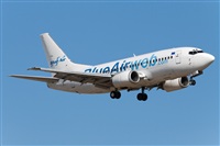 Miguel Alia - Noisy Spotters. Click to see full size photo