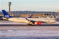 Javier de la Cruz - CANARY ISLANDS SPOTTING. Click to see full size photo