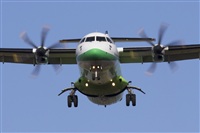 Saimon J Rodriguez   -   Canary Islands Spotting. Click to see full size photo