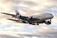 Javier de la Cruz - CANARY ISLANDS SPOTTING. Click to see full size photo