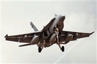 J. Victor Vega-Gran Canaria Spotters. Click to see full size photo