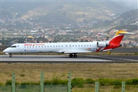 ©Daniel Santos Batista - Canary Islands Spotting. Click to see full size photo ©Daniel Santos Batista - Canary Islands Spotting. Click to see full size photo