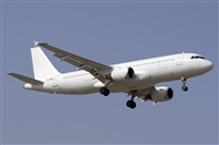 Saimon J Rodriguez   -   Canary Islands Spotting. Click to see full size photo