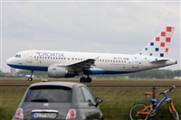 Miguel A. gueda Rguez.  (CANARY ISLANDS SPOTTING). Click to see full size photo