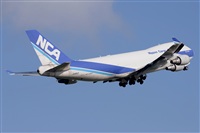 Miguel A. gueda Rguez.  (CANARY ISLANDS SPOTTING). Click to see full size photo