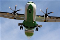 Adrin Alonso Lemes - Lanzarote Spotters. Click to see full size photo
