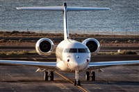 Javier de la Cruz - CANARY ISLANDS SPOTTING. Click to see full size photo