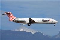 Miguel A. gueda Rguez.  (CANARY ISLANDS SPOTTING). Click to see full size photo