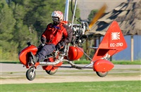 Josep Oll. Click to see full size photo