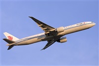 Miguel A. gueda Rguez.  (CANARY ISLANDS SPOTTING). Click to see full size photo