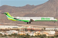 ©Adolfo Bento - Gran Canaria Spotters. Click to see full size photo ©Adolfo Bento - Gran Canaria Spotters. Click to see full size photo