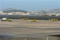 Adolfo Bento - Gran Canaria Spotters. Click to see full size photo