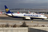 Alfonso Sols - Asociacin Canary Islands Spotting. Click to see full size photo