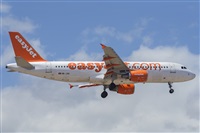 Natalia Sobrino Alonso - Canary Islands Spotting. Click to see full size photo
