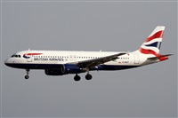 Alfonso Sols - Asociacin Canary Islands Spotting. Click to see full size photo