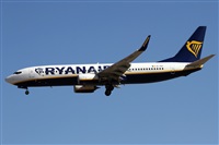 Alfonso Sols - Asociacin Canary Islands Spotting. Click to see full size photo