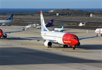 ©Alejandro H.L - Gran Canaria Spotters. Click to see full size photo ©Alejandro H.L - Gran Canaria Spotters. Click to see full size photo