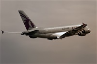 Javier de la Cruz - CANARY ISLANDS SPOTTING. Haz click para ampliar