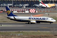 Alfonso Sols - Asociacin Canary Islands Spotting. Haz click para ampliar