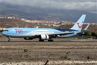©Alfonso Solís - Asociación Canary Islands Spotting. Click to see full size photo ©Alfonso Solís - Asociación Canary Islands Spotting. Click to see full size photo