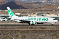 Alfonso Sols - Asociacin Canary Islands Spotting. Click to see full size photo