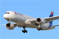 Miguel A. gueda Rguez.  (CANARY ISLANDS SPOTTING). Click to see full size photo