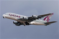 Miguel A. gueda Rguez.  (CANARY ISLANDS SPOTTING). Click to see full size photo