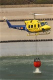 ©Daniel Santos Batista - Canary Islands Spotting. Click to see full size photo ©Daniel Santos Batista - Canary Islands Spotting. Click to see full size photo