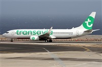 Alfonso Sols - Asociacin Canary Islands Spotting. Click to see full size photo