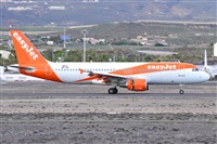 Miguel A. gueda Rguez.  (CANARY ISLANDS SPOTTING). Click to see full size photo