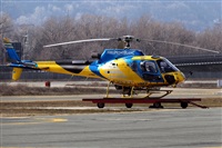 La Roche Spotters. Click to see full size photo