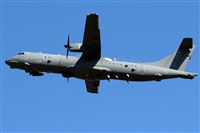 La Roche Spotters. Click to see full size photo