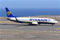 Miguel A. gueda Rguez.  (CANARY ISLANDS SPOTTING). Click to see full size photo